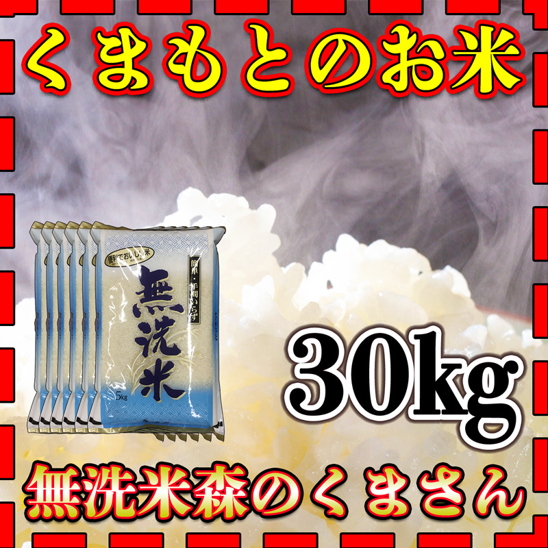 お米 米 30kg 白米 無洗米 熊本県産 森のくまさん 新米 令和5年産 5kg6