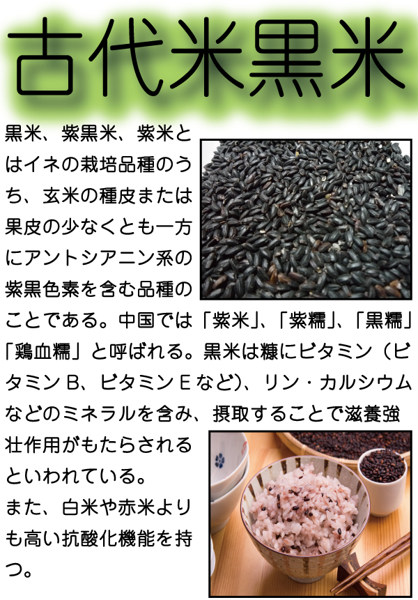 お米 米 1kg 玄米 熊本県産 黒米 無農薬 新米 令和5年産 古代米 くまもとのお米 富田商店 とみた商店 くまもとのお米販売店富田商店  FC2店