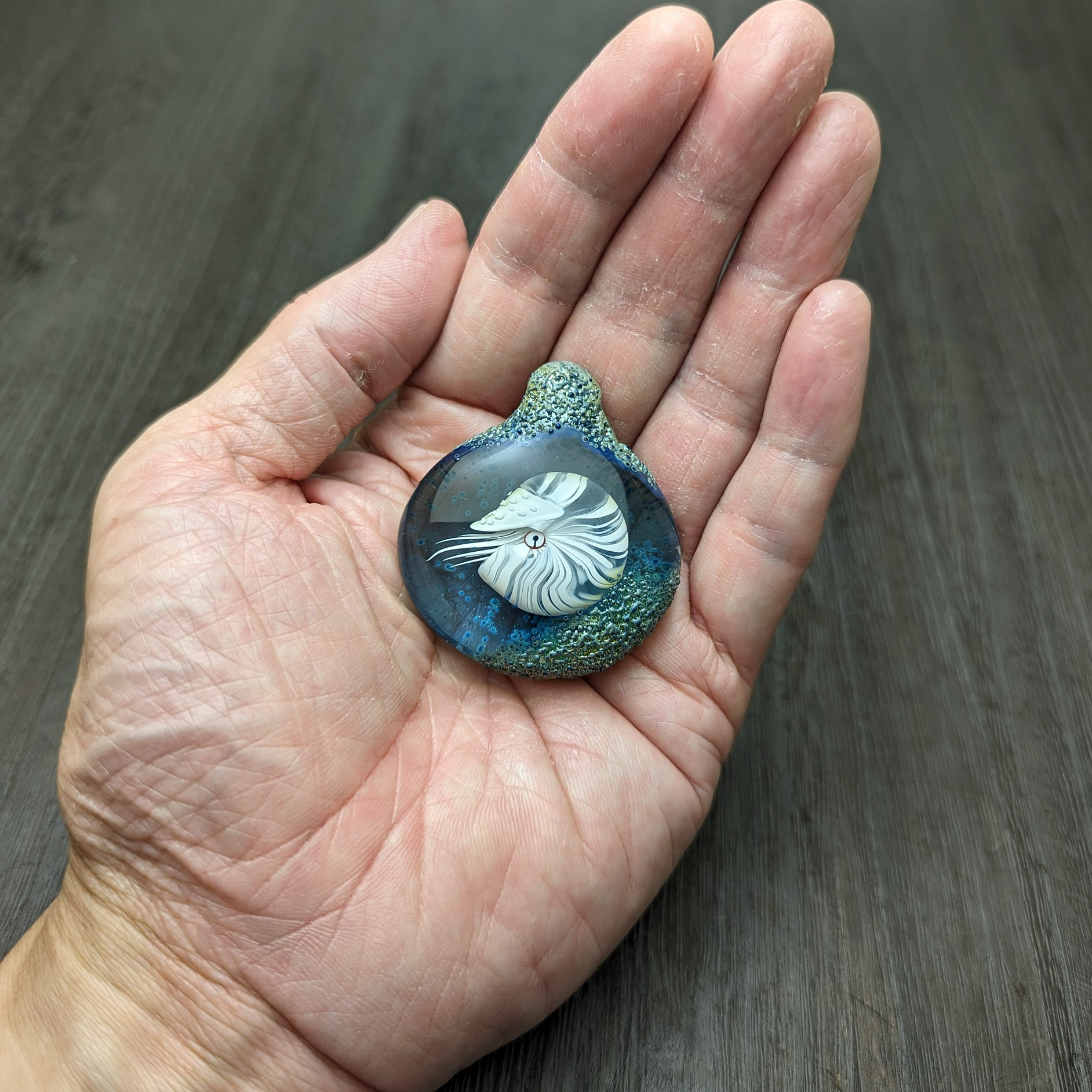 貝　オウム貝　3つ Amazon.co.jp: 【貝殻パーツ】オウムガイ SSサイズ 1個 5.5cm
