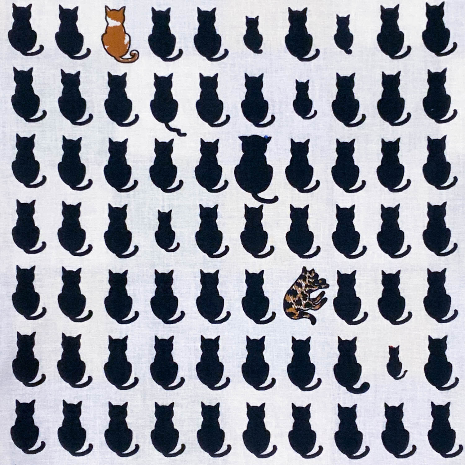 クリックで画像を表示