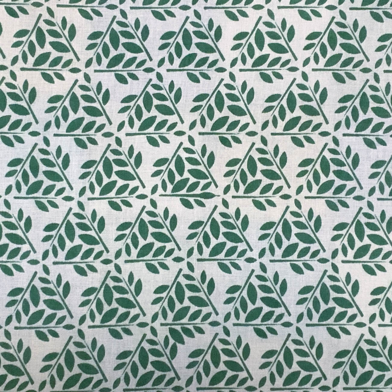 クリックで画像を表示