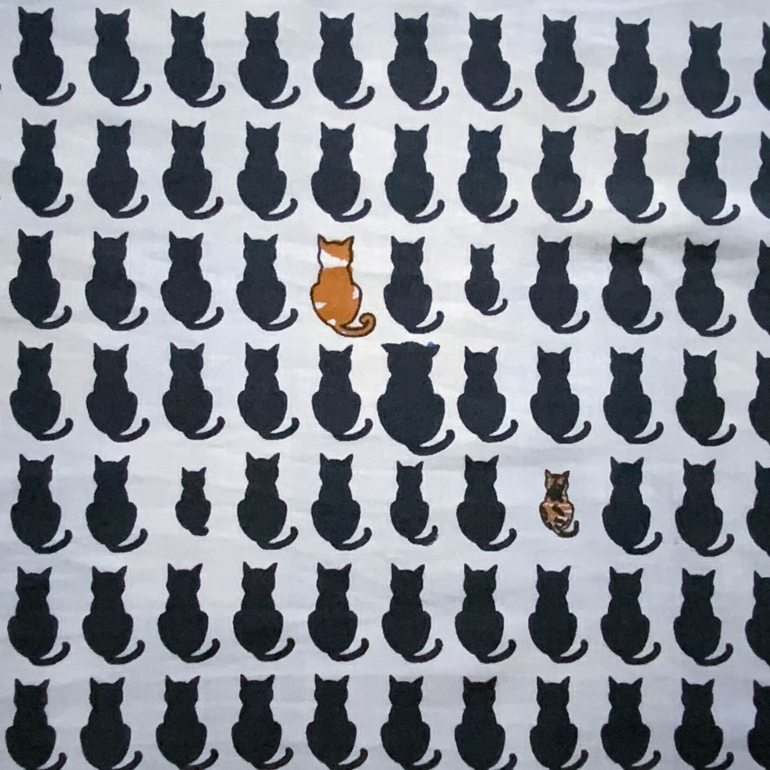 クリックで画像を表示