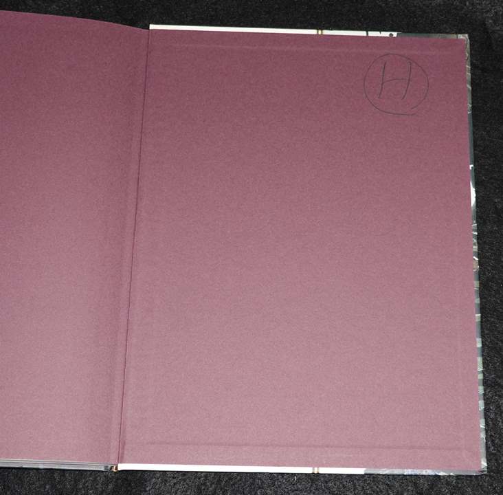 D&D4版 ダンジョンズ＆ドラゴンズ ダンジョン・マスターズ・ガイドⅡ