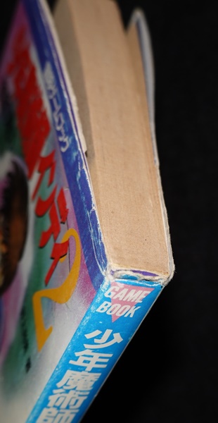 少年魔術師インディ2 禁断の魔力 | ゲームブックのオンラインショップ