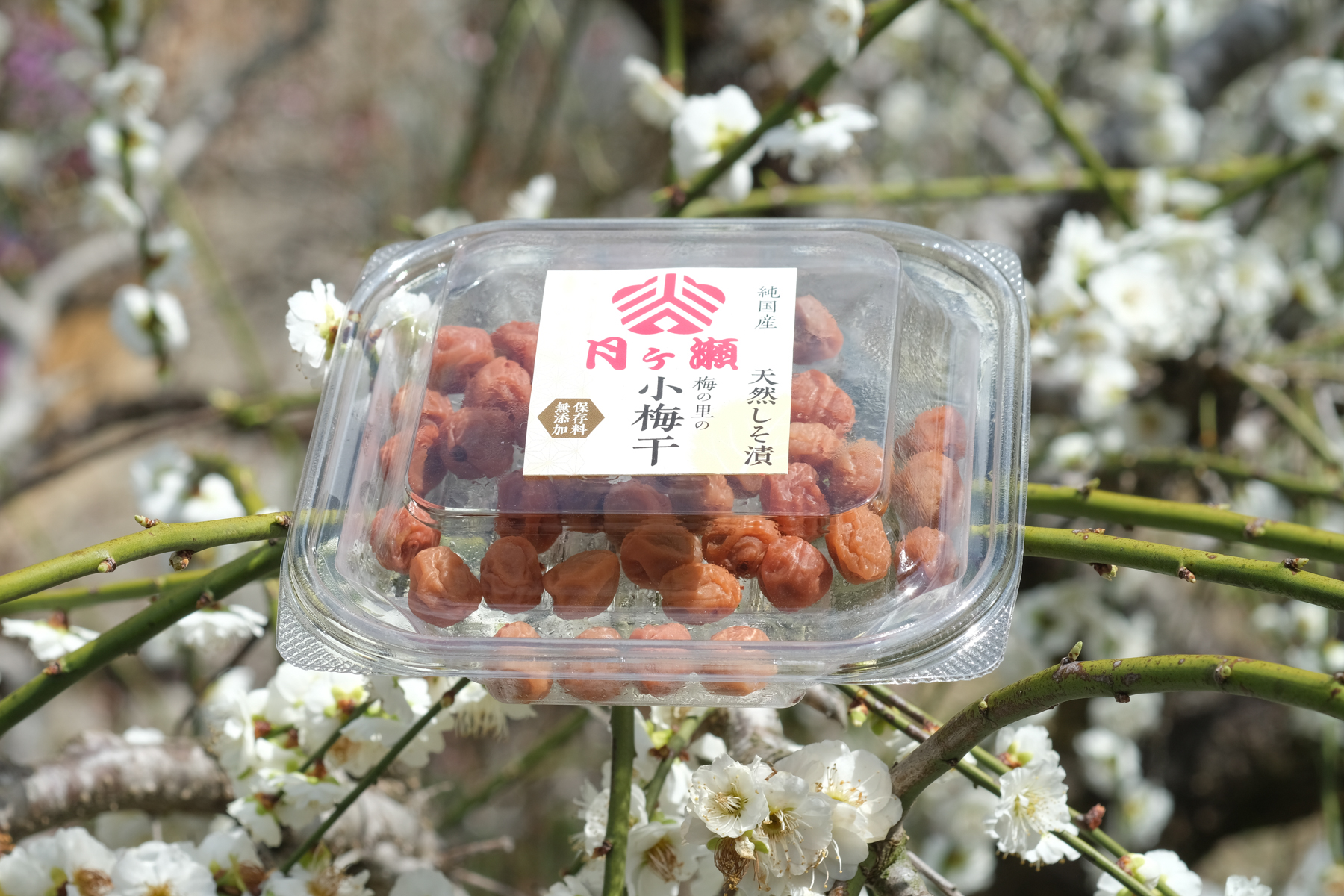 小梅干500g - 月ヶ瀬梅渓