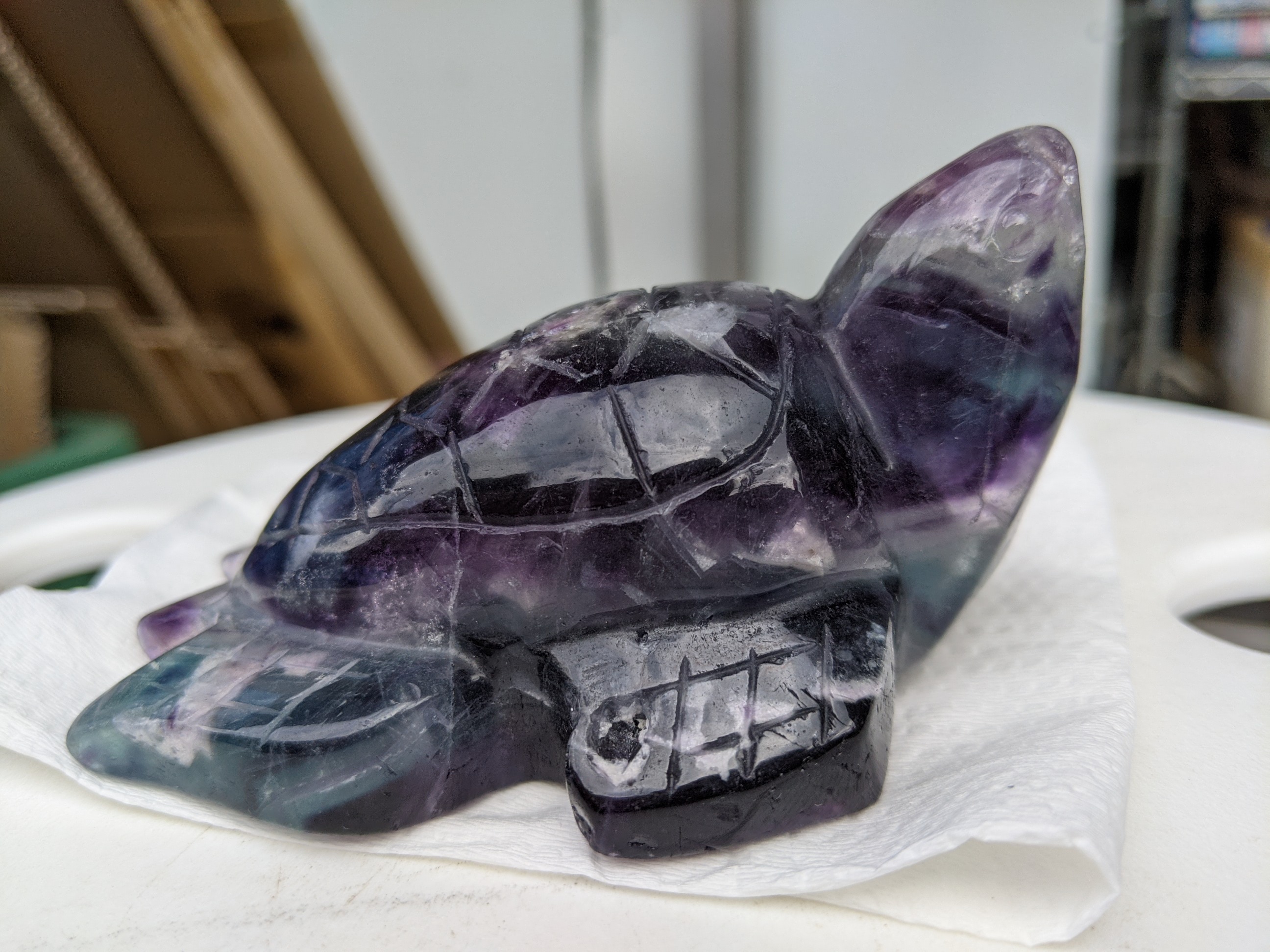 フローライト 笑口 亀 フローライト 笑口 亀