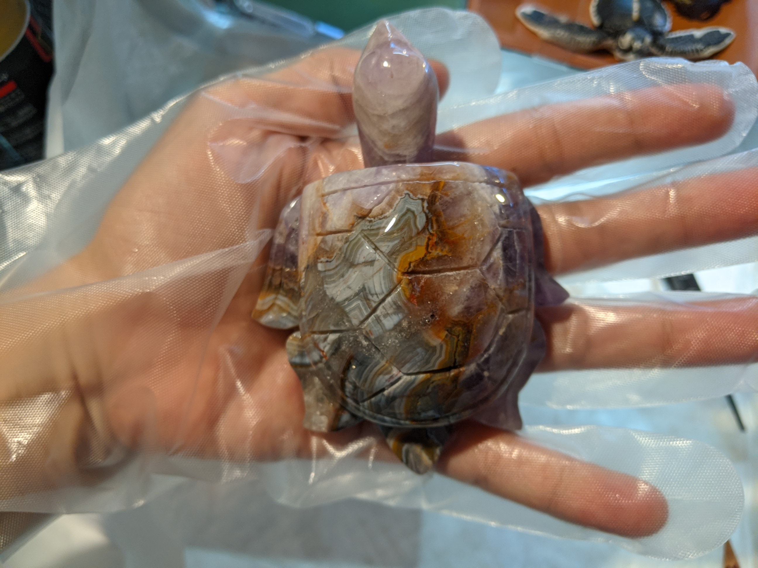 クリックで画像を表示