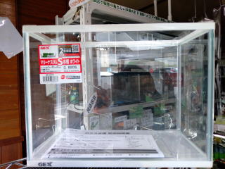 クリックで画像を表示