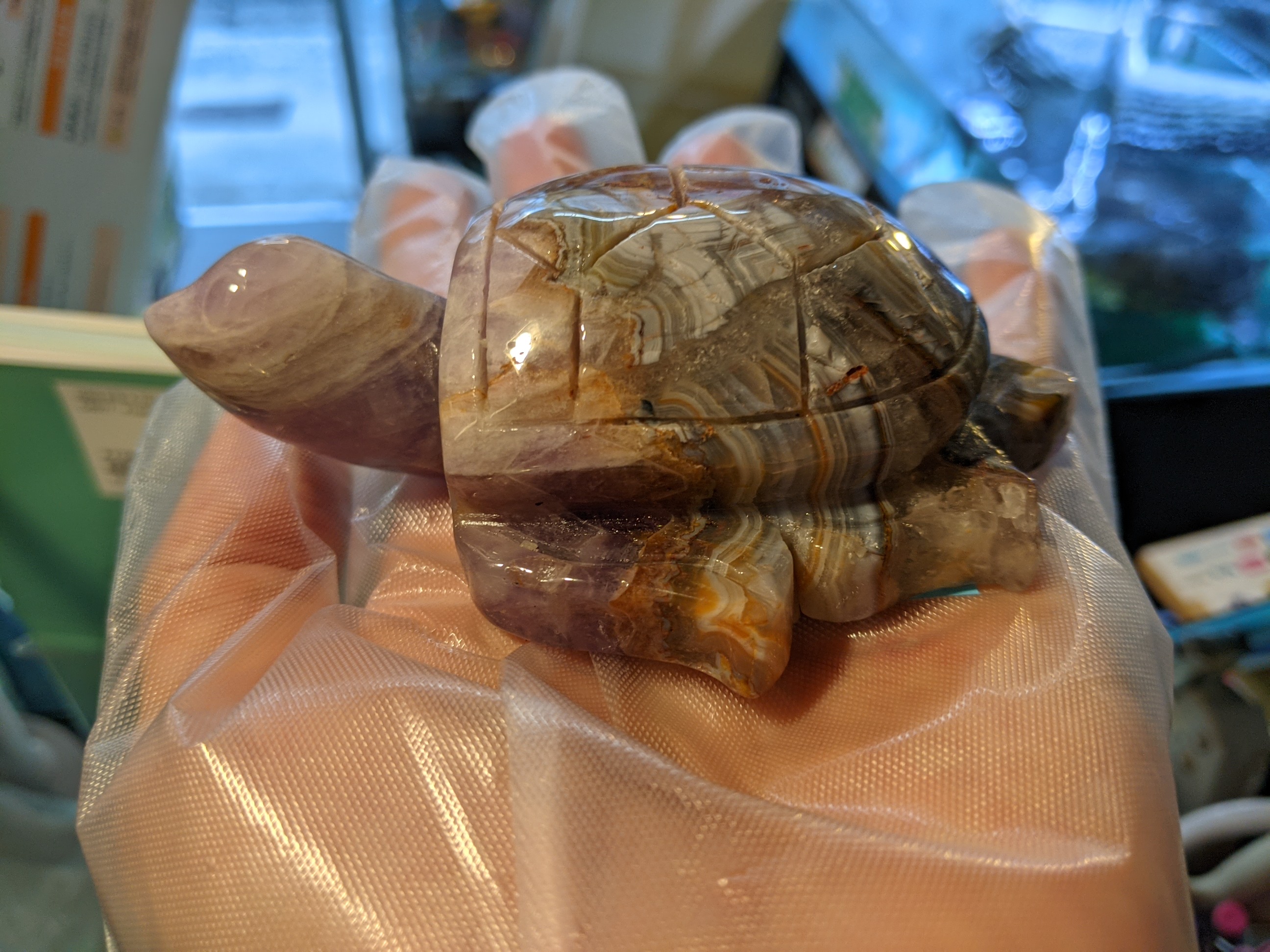 クリックで画像を表示