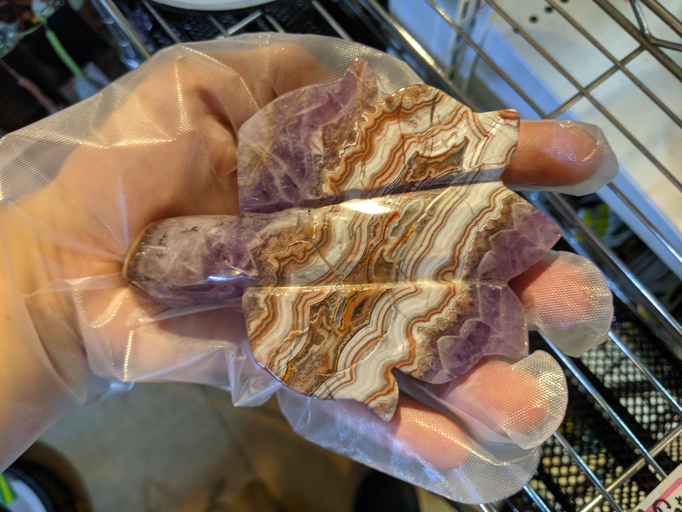 クリックで画像を表示