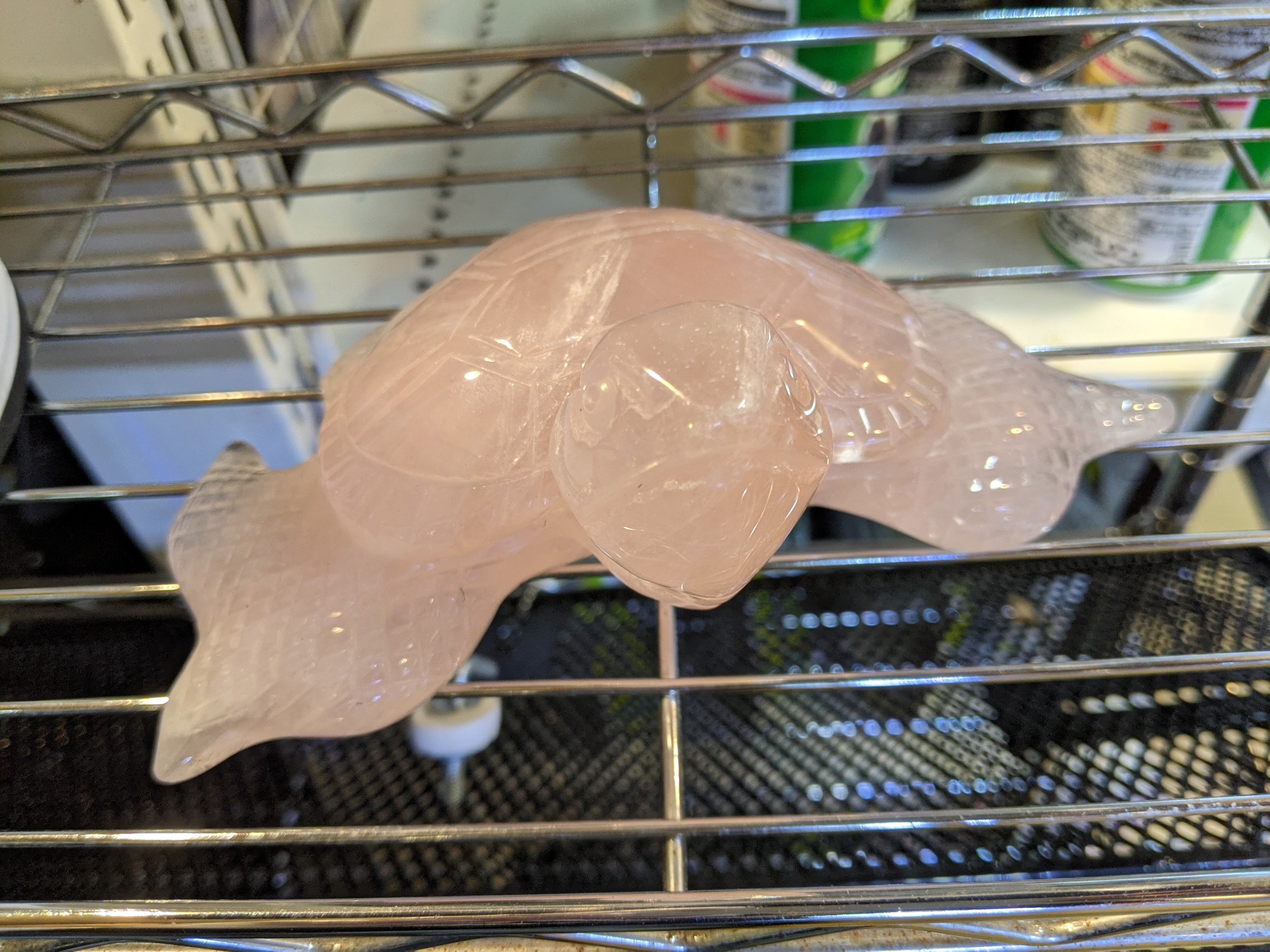 クリックで画像を表示