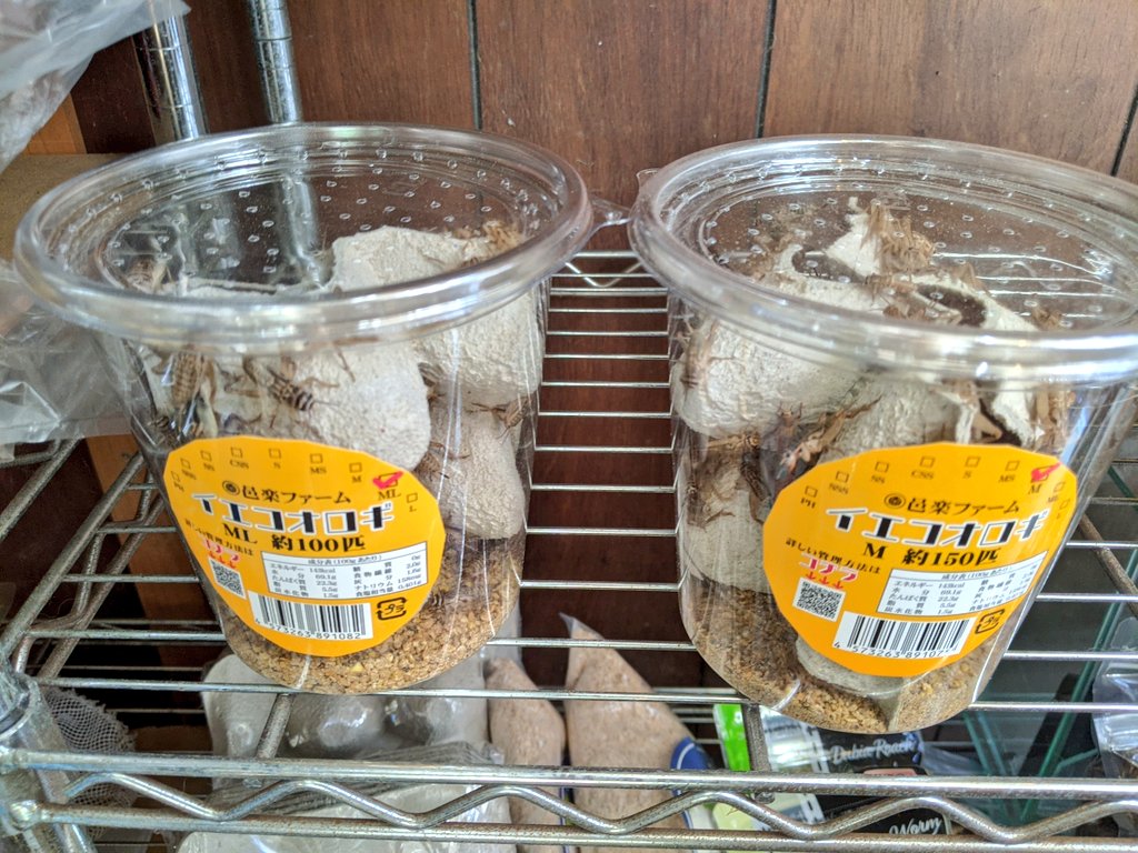 クリックで画像を表示