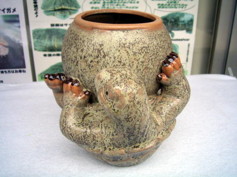 クリックで画像を表示