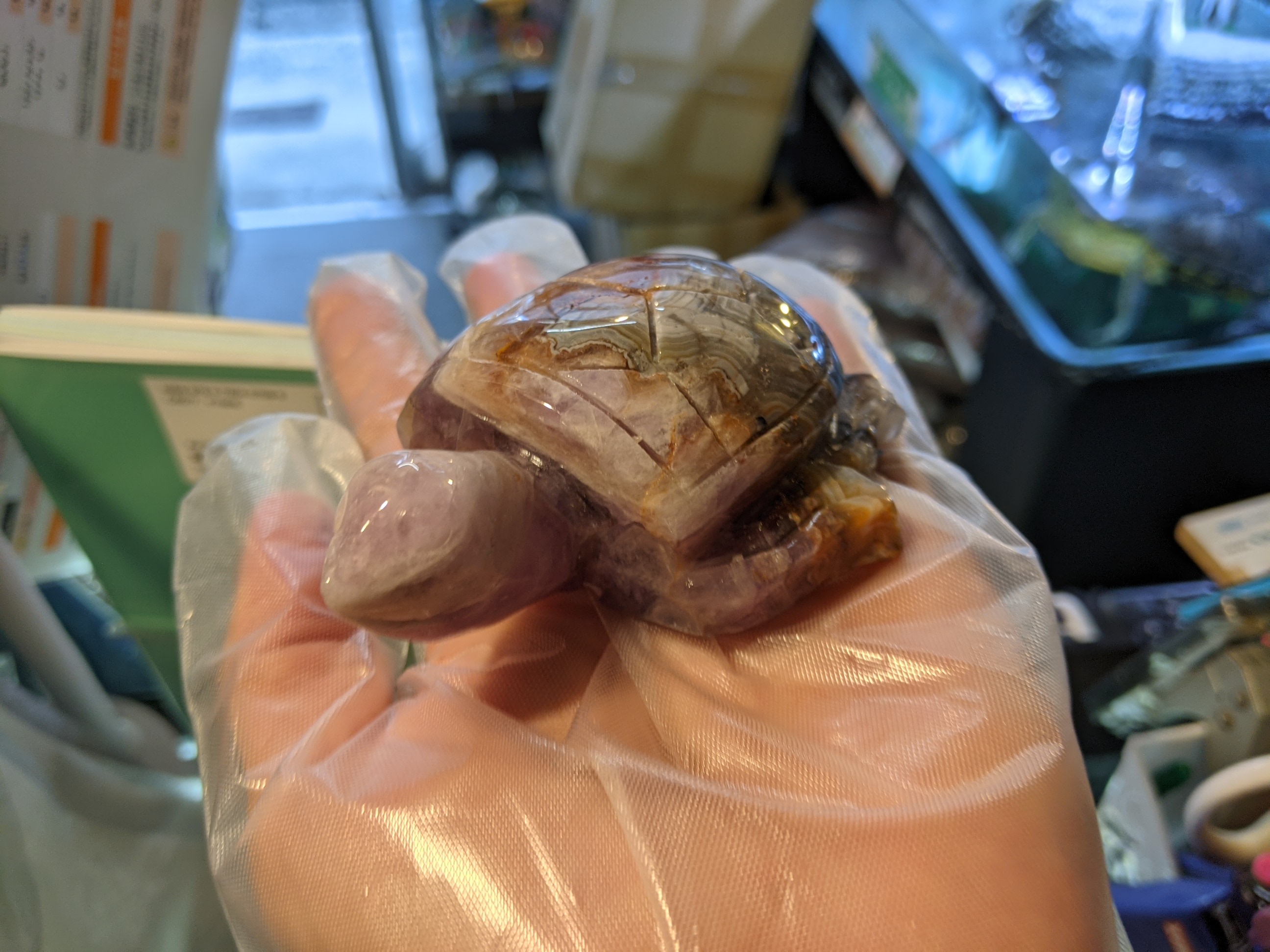 クリックで画像を表示