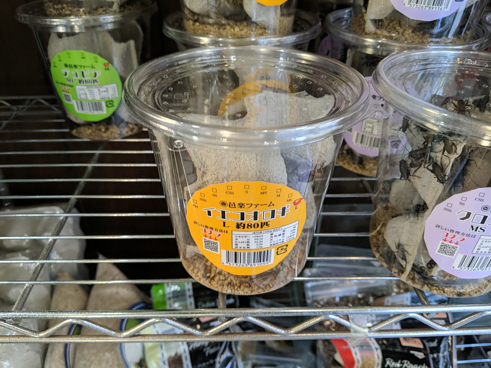 クリックで画像を表示