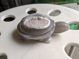 クリックで画像を表示