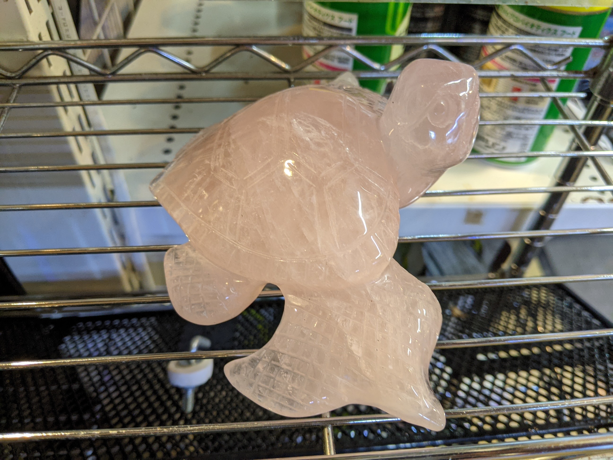 クリックで画像を表示