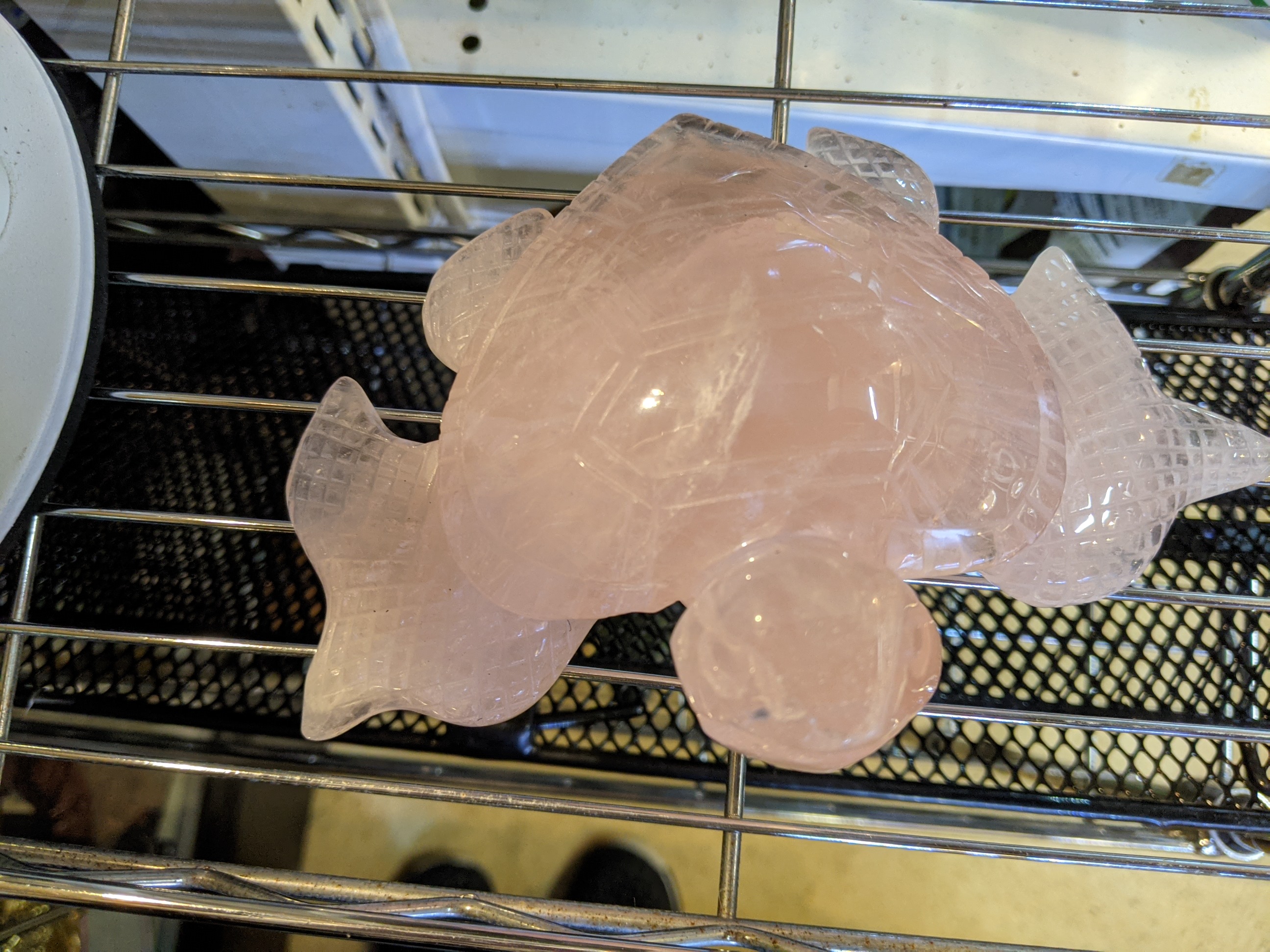 クリックで画像を表示