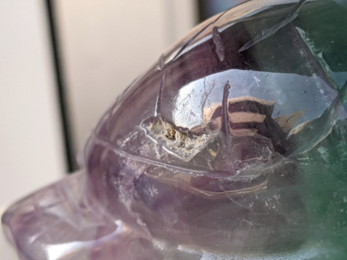 クリックで画像を表示