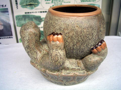 クリックで画像を表示