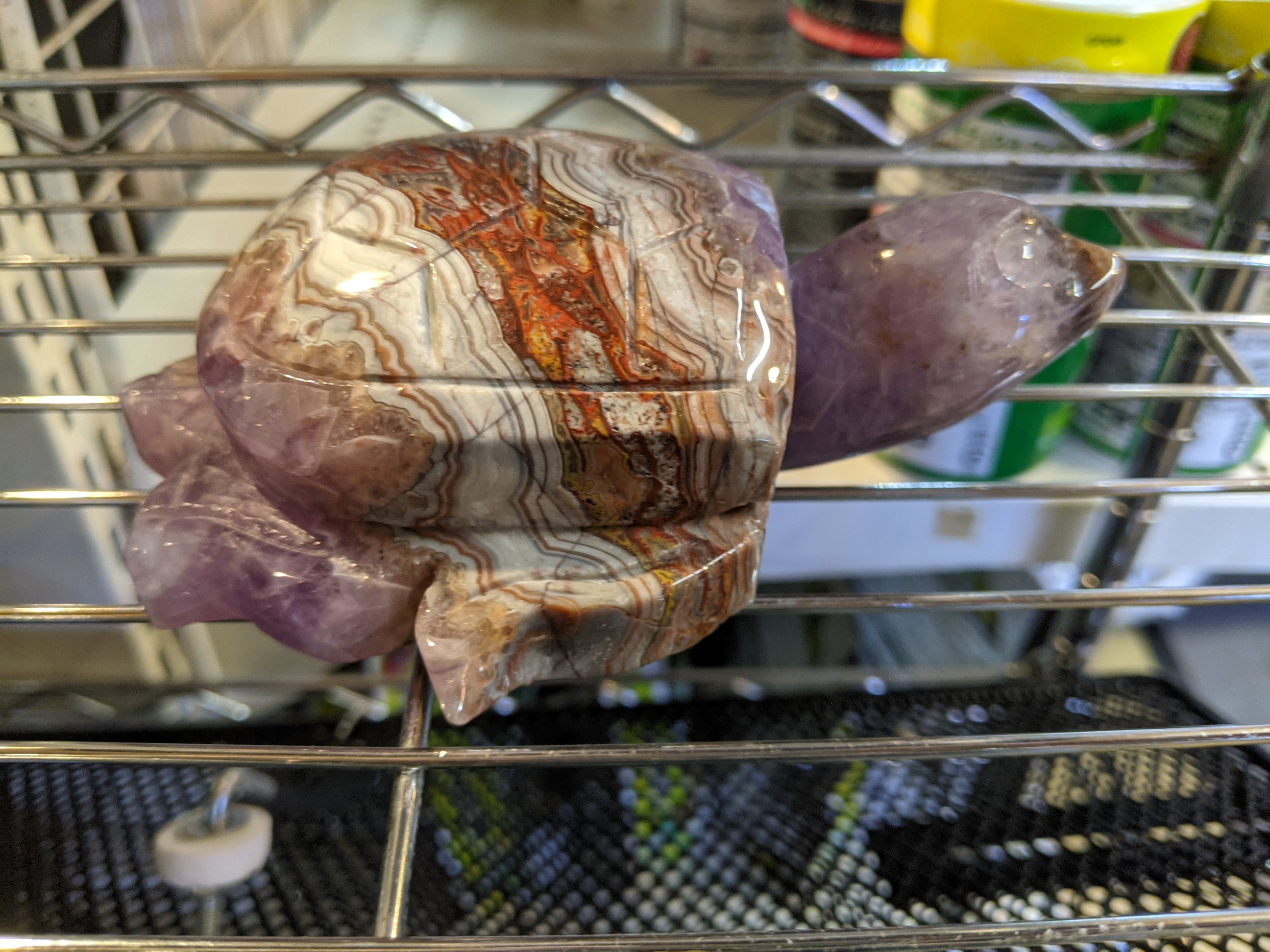 クリックで画像を表示