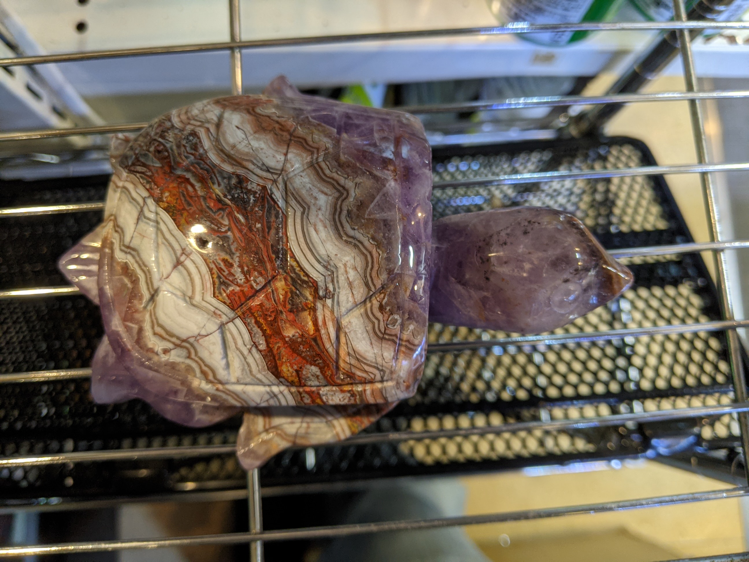 クリックで画像を表示