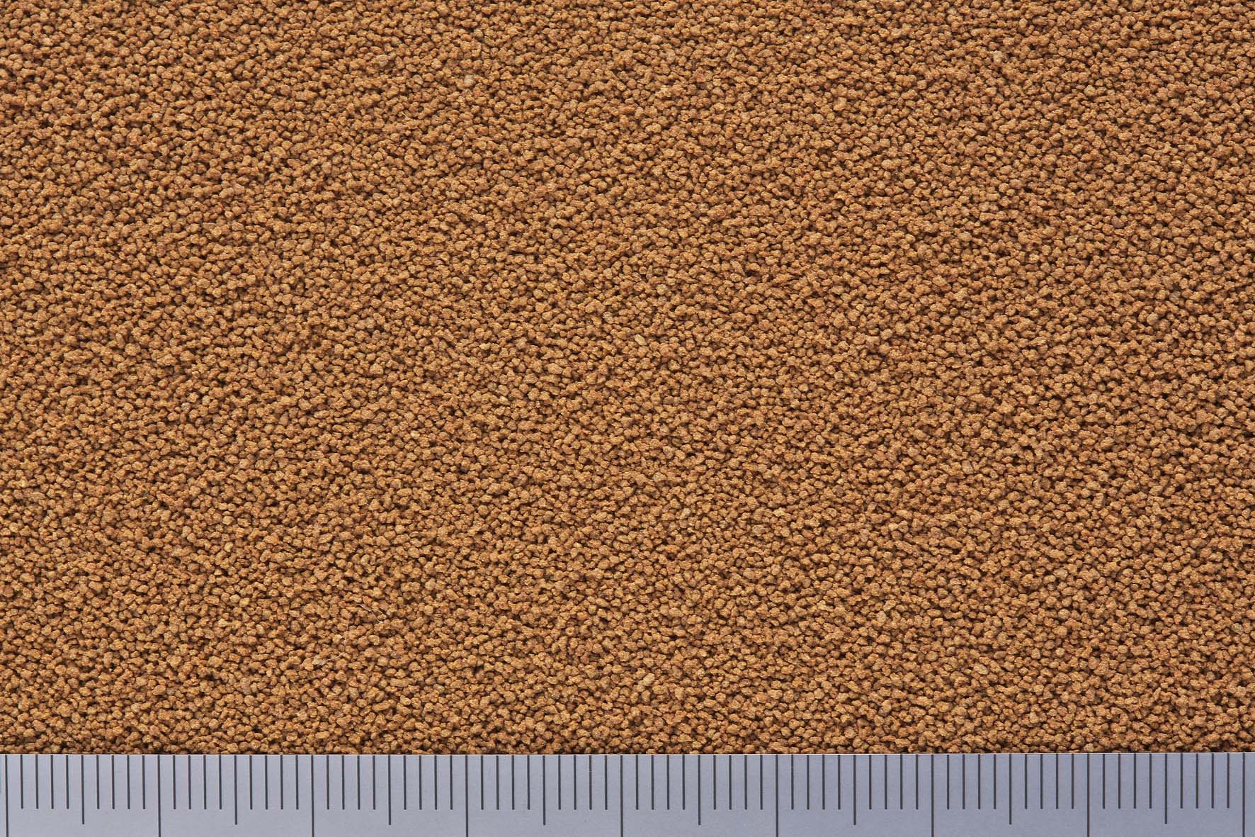 クリックで画像を表示