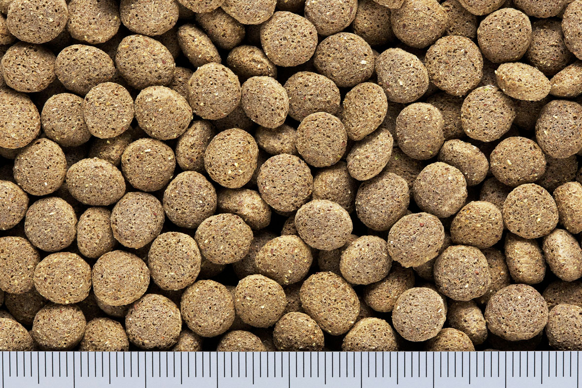 クリックで画像を表示