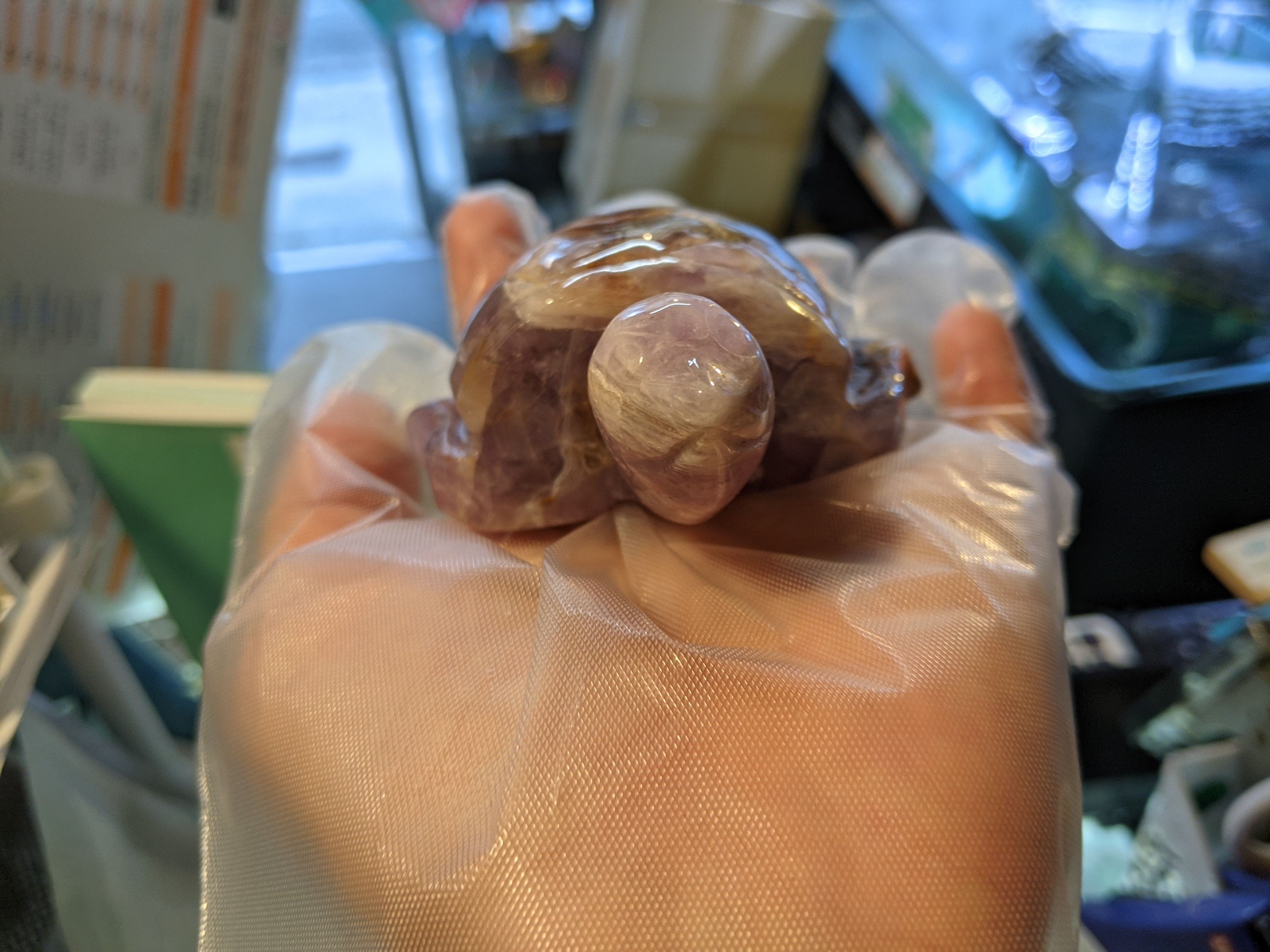 クリックで画像を表示