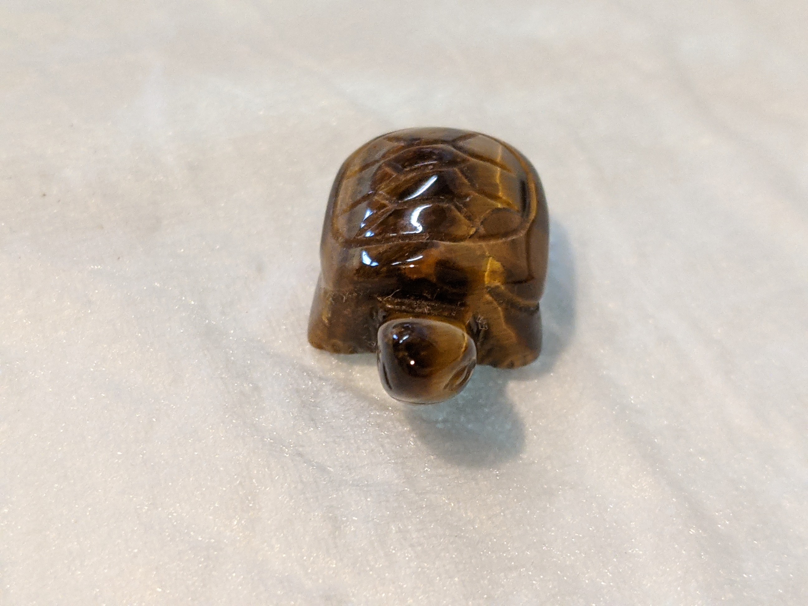 クリックで画像を表示