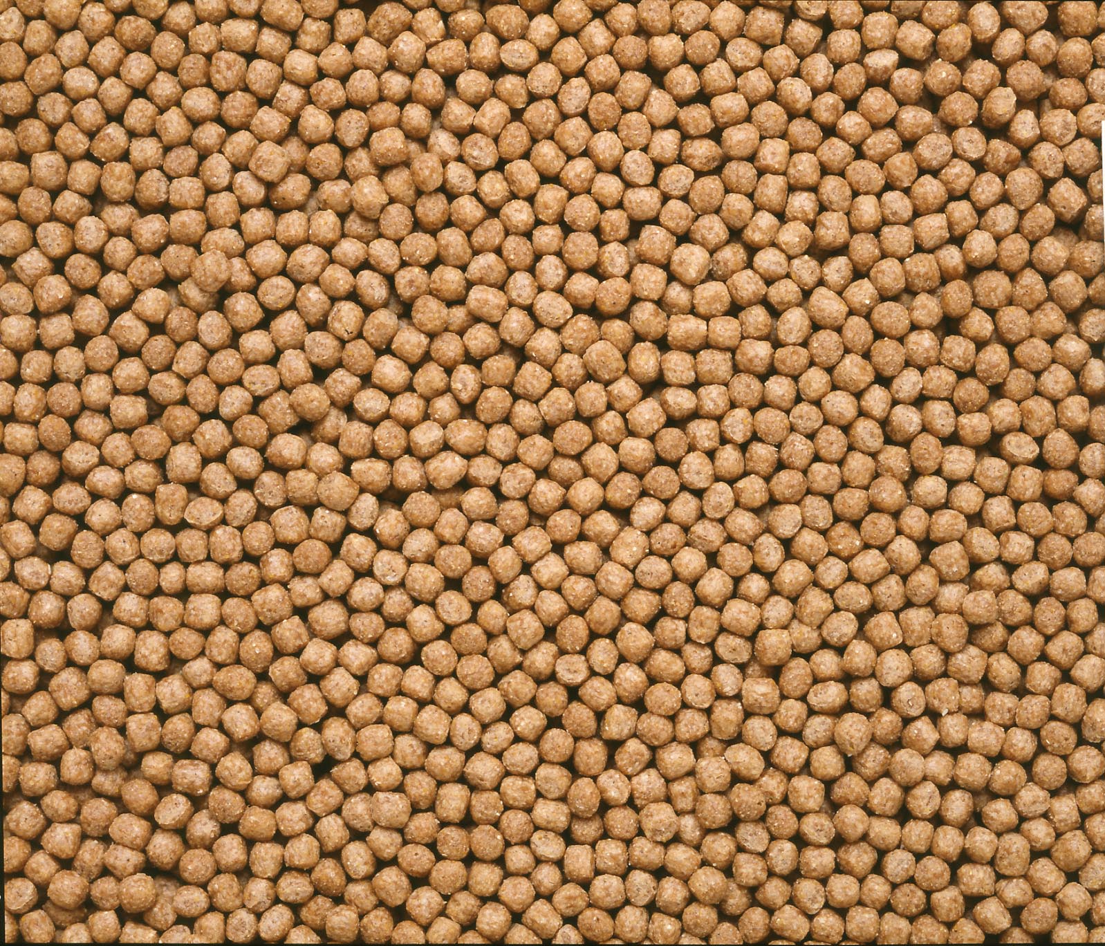 クリックで画像を表示