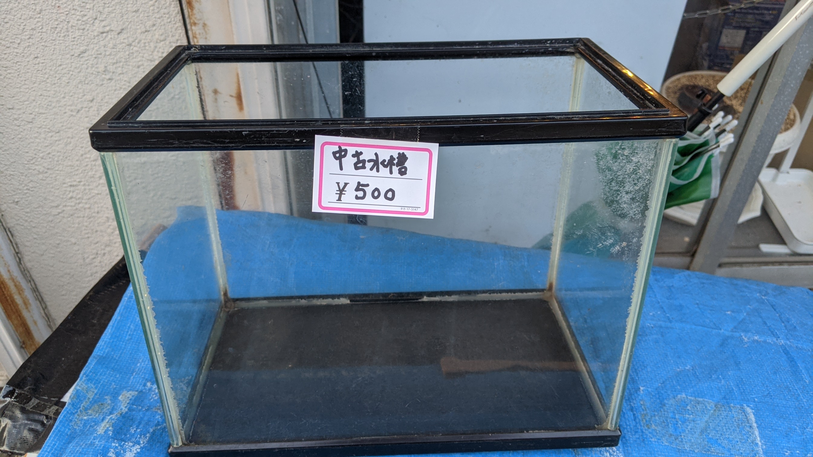 クリックで画像を表示