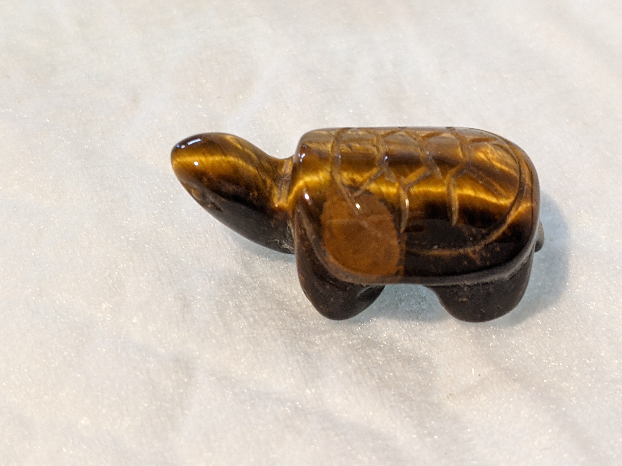 クリックで画像を表示