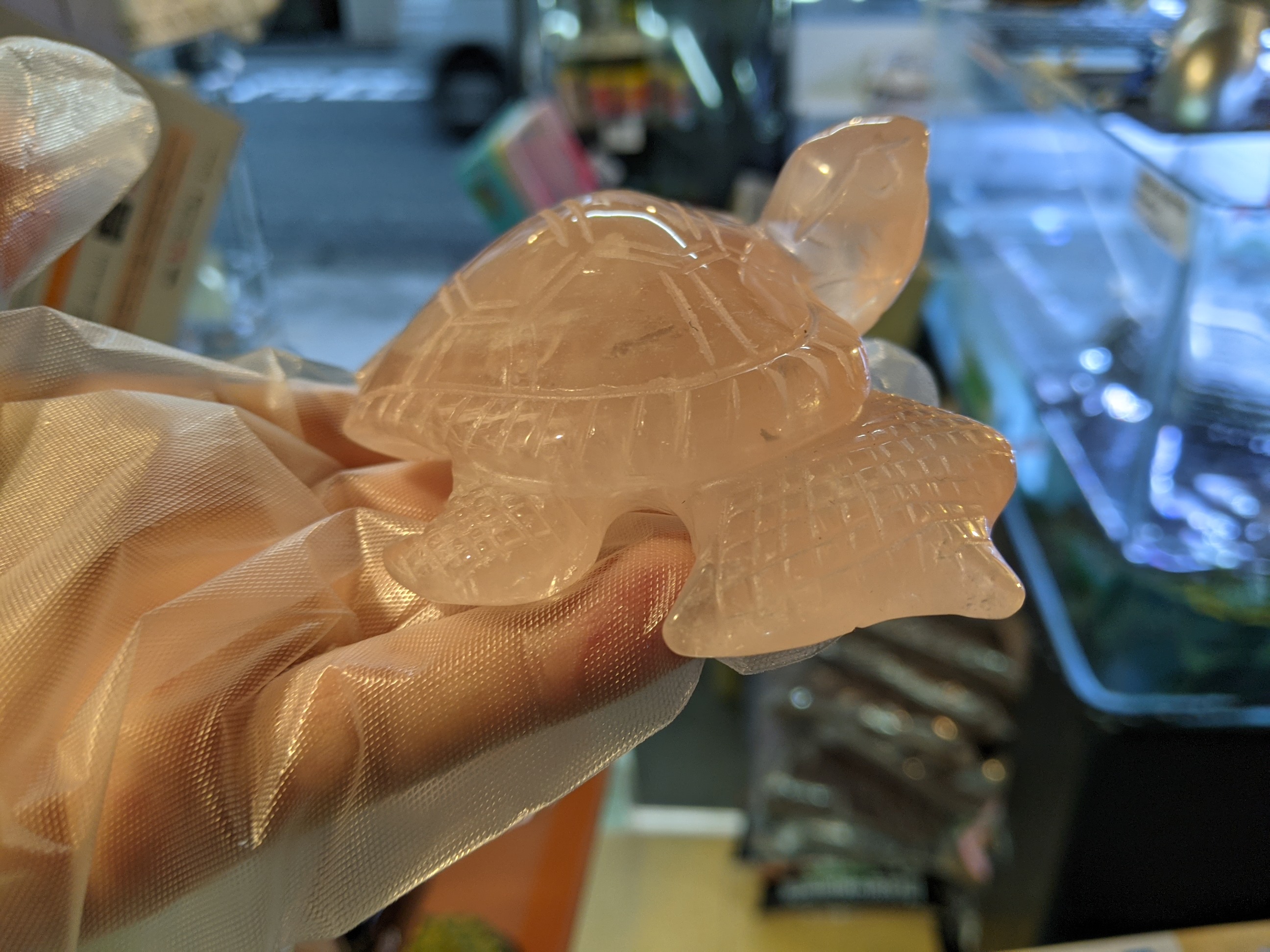 クリックで画像を表示