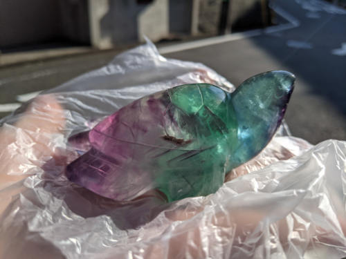 クリックで画像を表示