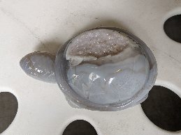 クリックで画像を表示