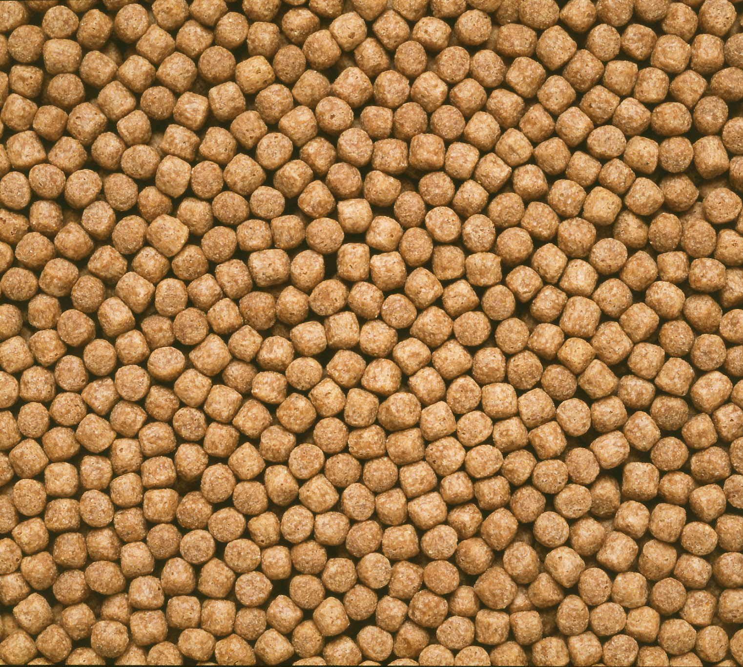 クリックで画像を表示