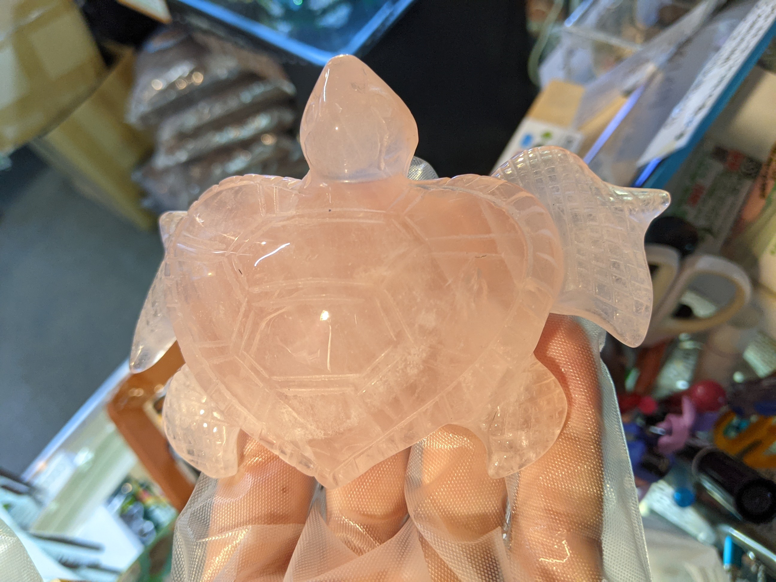 クリックで画像を表示