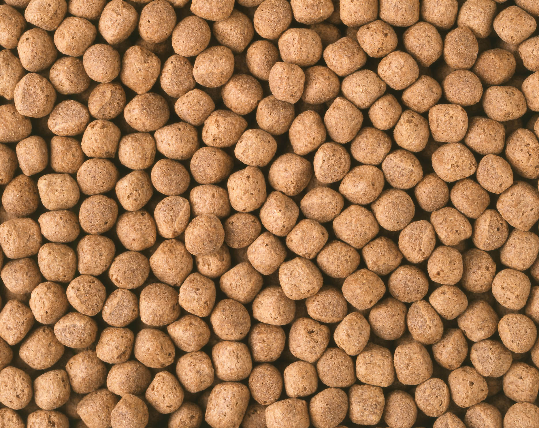 クリックで画像を表示