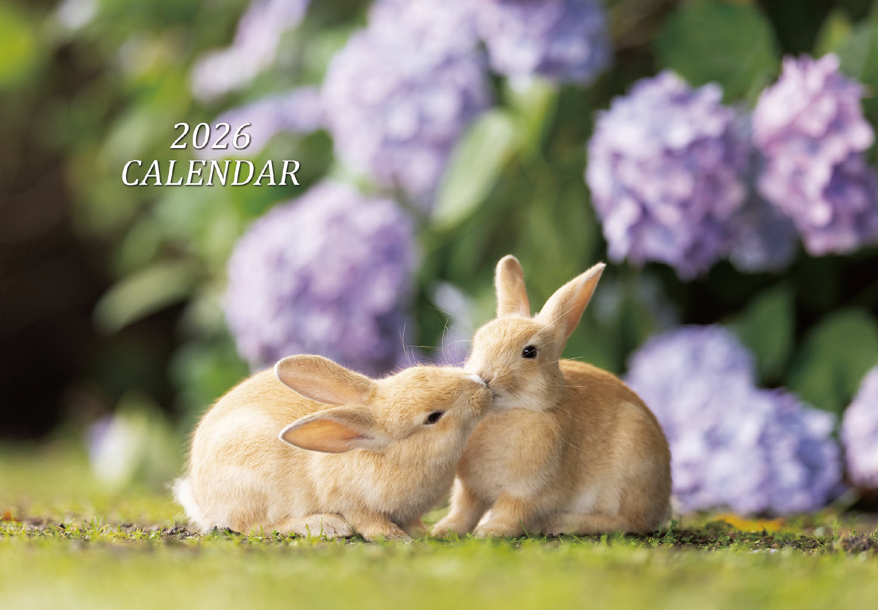 ☆25周年記念セット☆（utaと大久野島のうさぎさんとの出会い