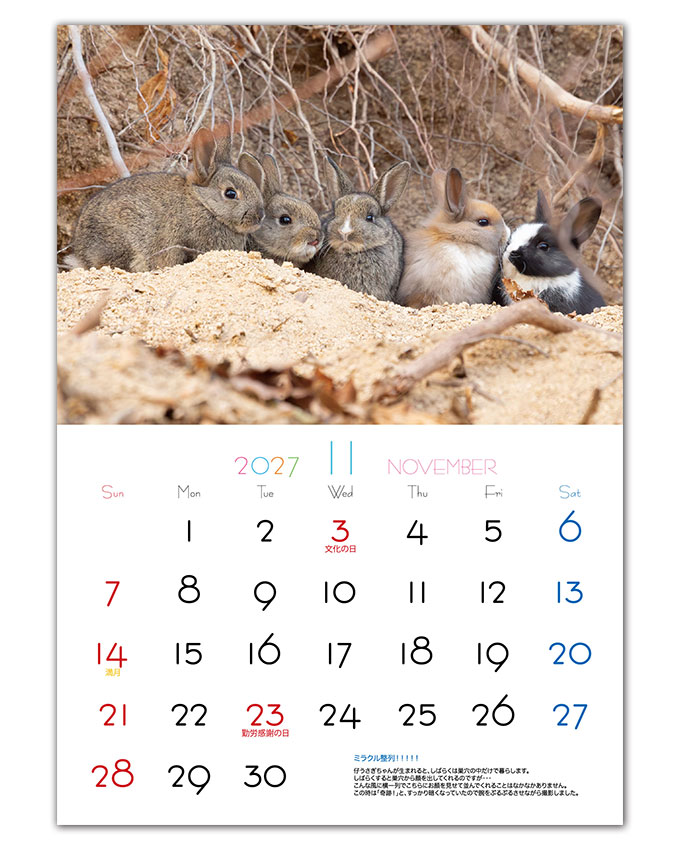 2027年 大久野島うさぎカレンダー 7月14日20時受付開始 | utaの