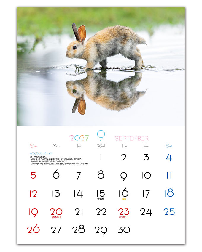 2027年 大久野島うさぎカレンダー 7月14日20時受付開始 | utaの