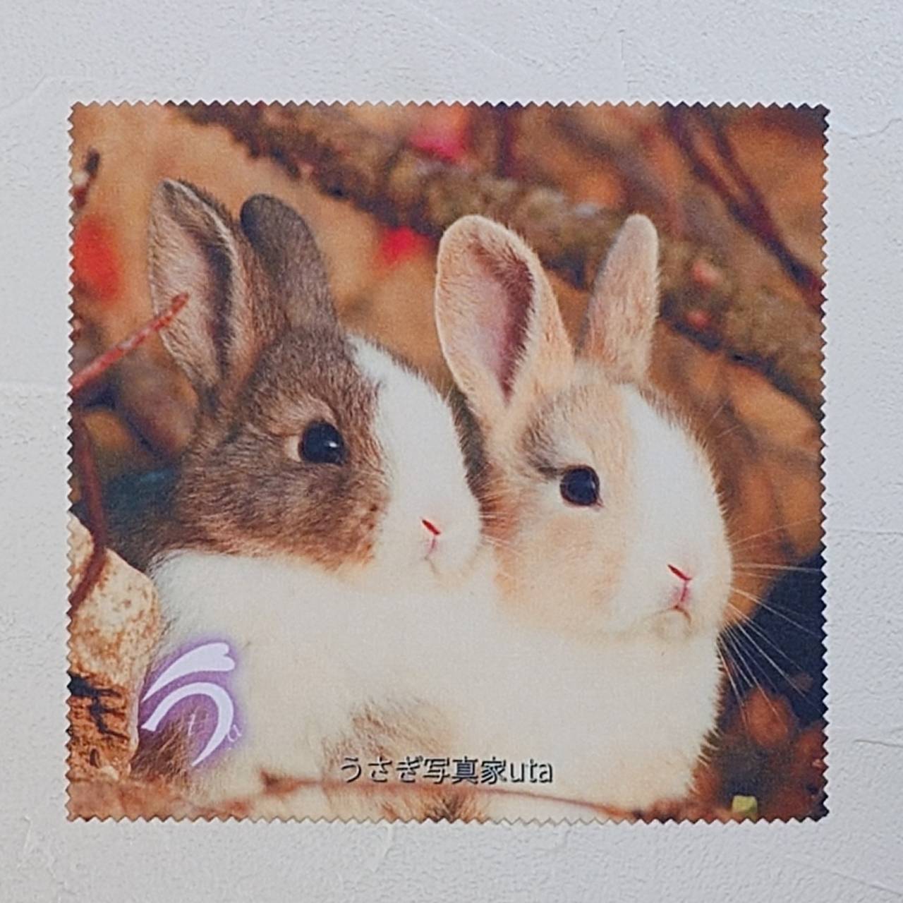 うさぎ3太郎 ☆卓上版25周年記念セット☆（utaと大久野島のうさぎさんとの出会い