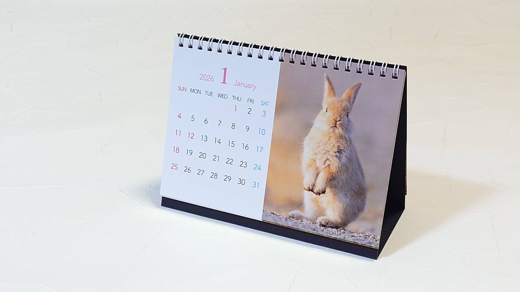 うさぎ　オーダー再開しました⸝꙳.˖様 2026年卓上版大久野島うさぎカレンダー | utaのデジタル工房