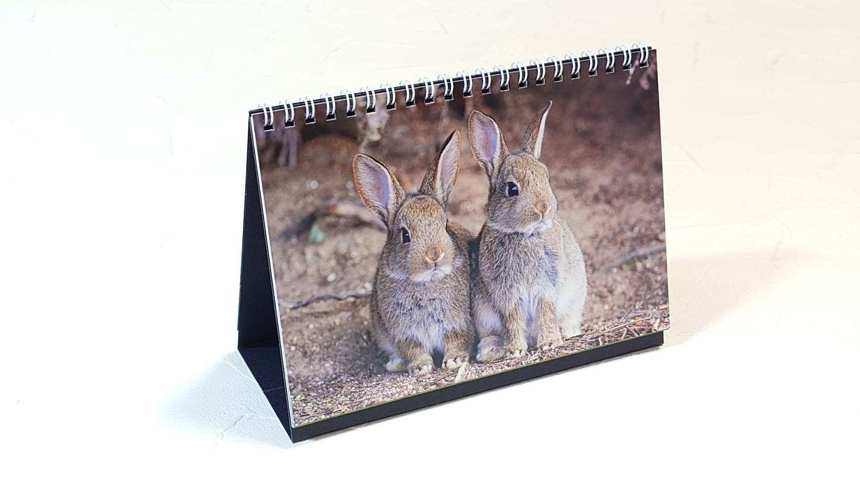 2026年卓上版大久野島うさぎカレンダー | utaのデジタル工房