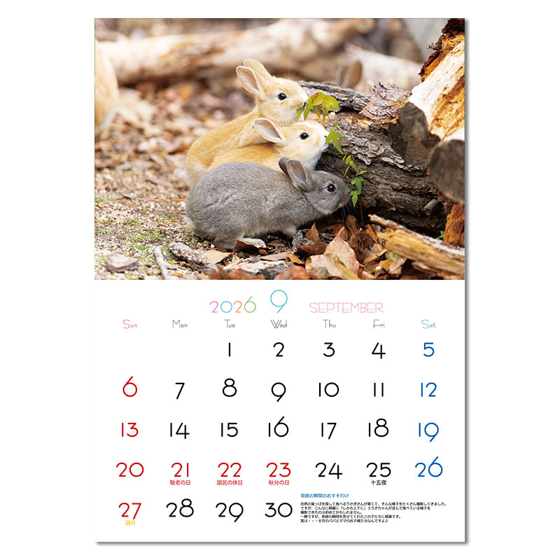 2026年 大久野島うさぎカレンダー | utaのデジタル工房