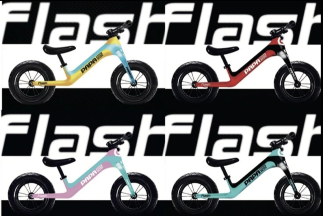 FLASH ➖ PAPABIKE CARBON FRAME | 自転車屋ビッちゃん web shop