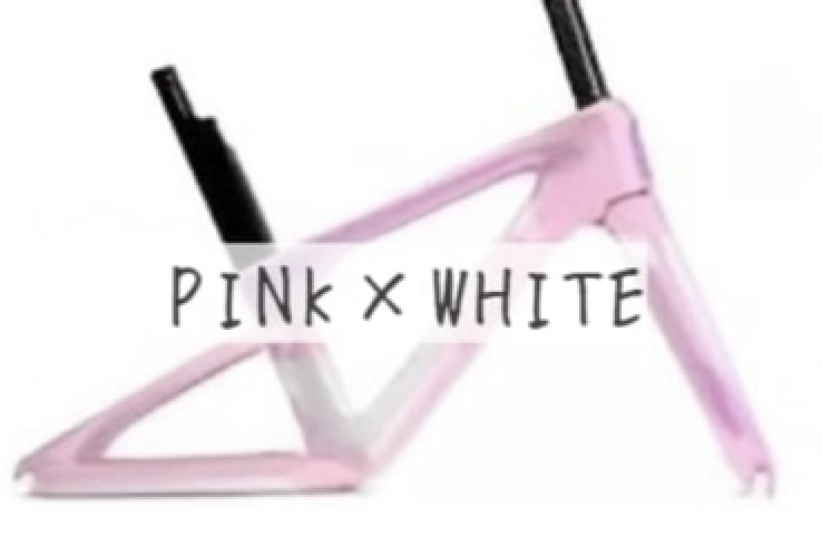 パパバイク Lightning | 自転車屋ビッちゃん web shop