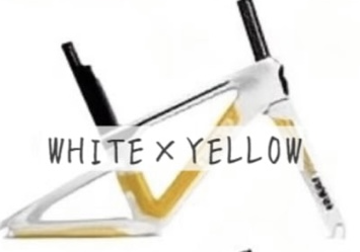 パパバイク Lightning | 自転車屋ビッちゃん web shop