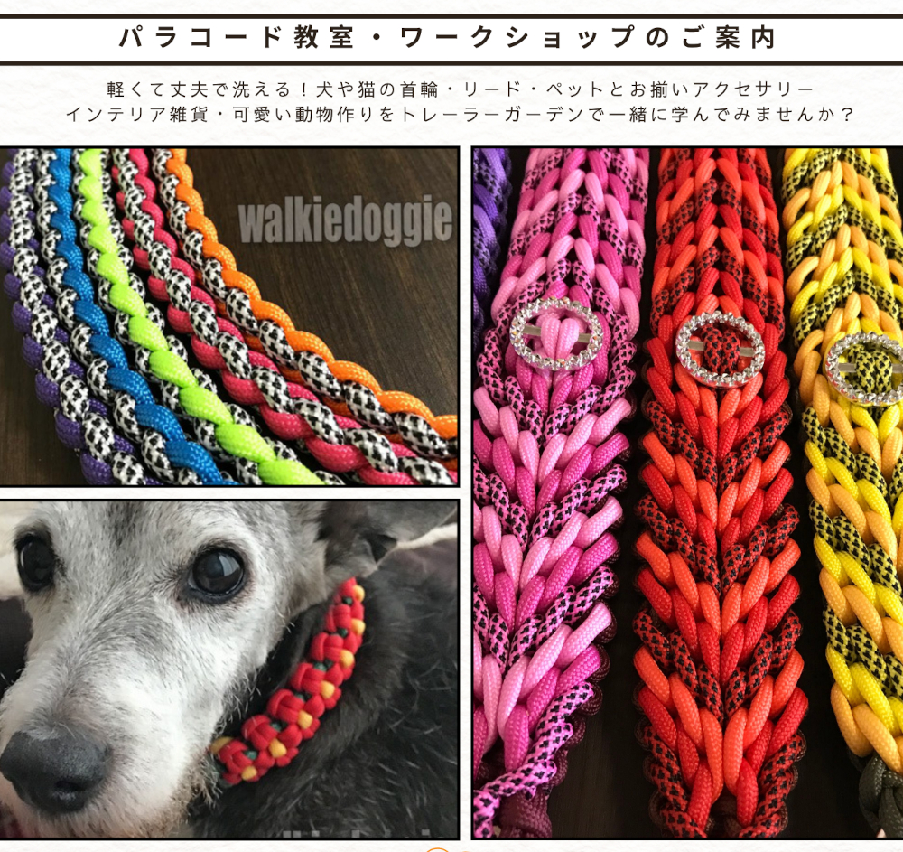 クリックで画像を表示